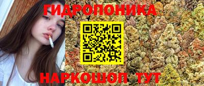 индика Братск
