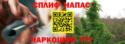 индика Братск
