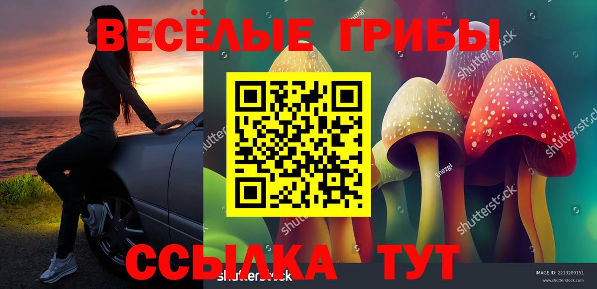 Псилоцибиновые грибы ЛСД Вышний Волочёк