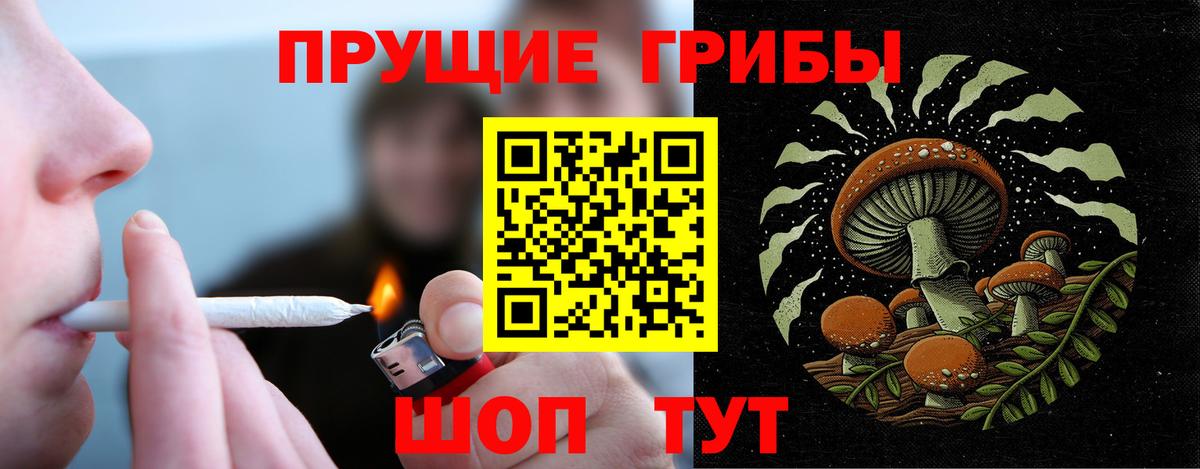 Псилоцибиновые грибы Magic Shrooms  Псилоцибиновые грибы GOLDEN TEACHER  Вышний Волочёк  Вход с VPN 